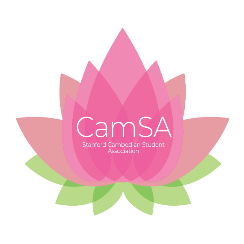 CamSA Logo